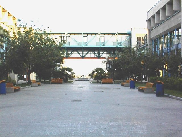 Il 29 settembre in Ateneo la “Notte dei Ricercatori”