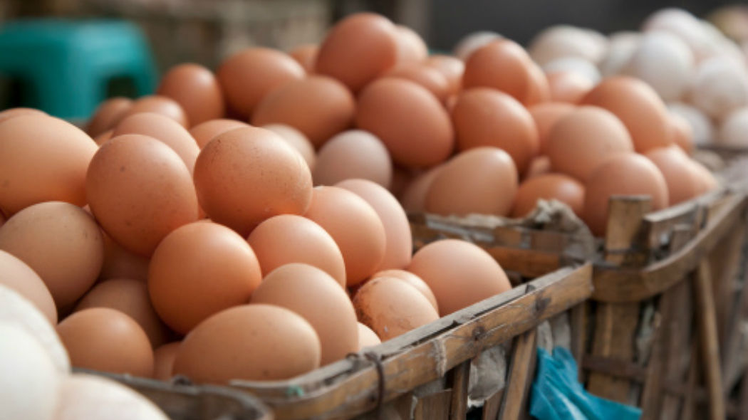 Cagliari, allarme Fipronil: ritirate migliaia di uova a rischio contaminazione