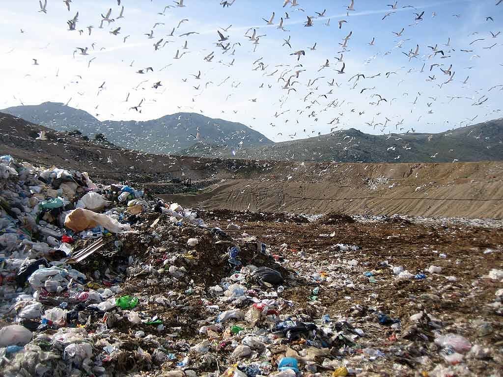 La “terra dei fuochi” contagia anche Cagliari: puzza di bruciato fortissima