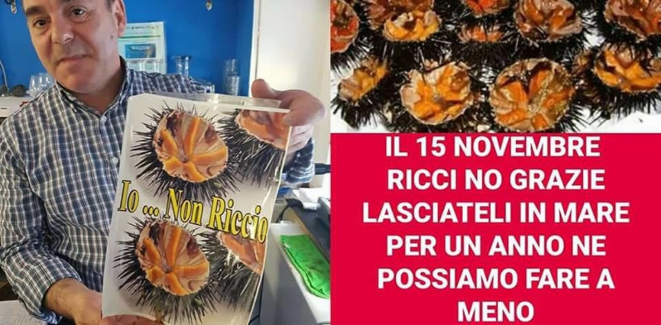 “Ricci? Non nei nostri piatti”. Molti ristoratori cagliaritani li fanno scomparire dai menù