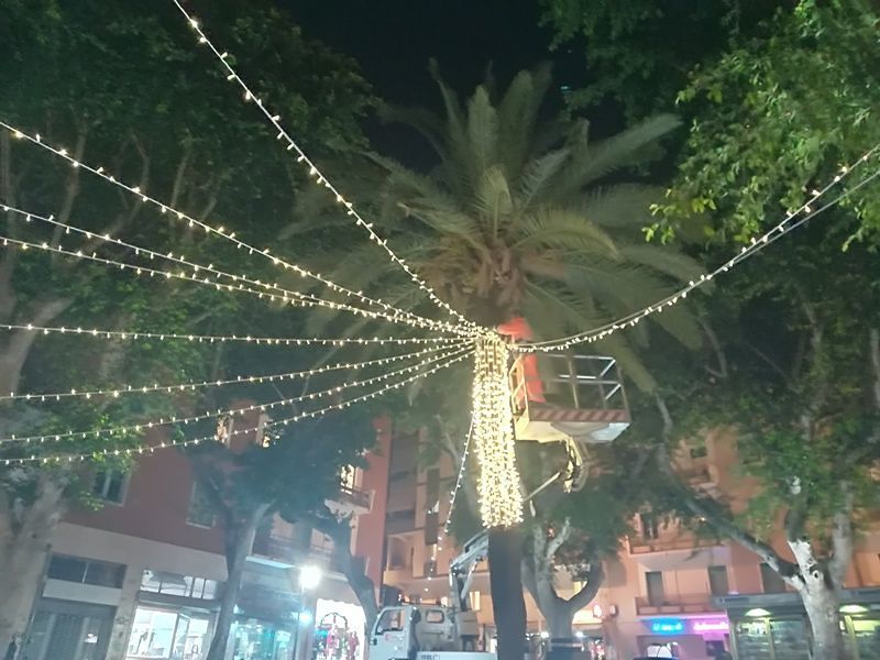 Cagliari, nella nuova piazza Gramsci arrivano le luminarie e l’albero di Natale
