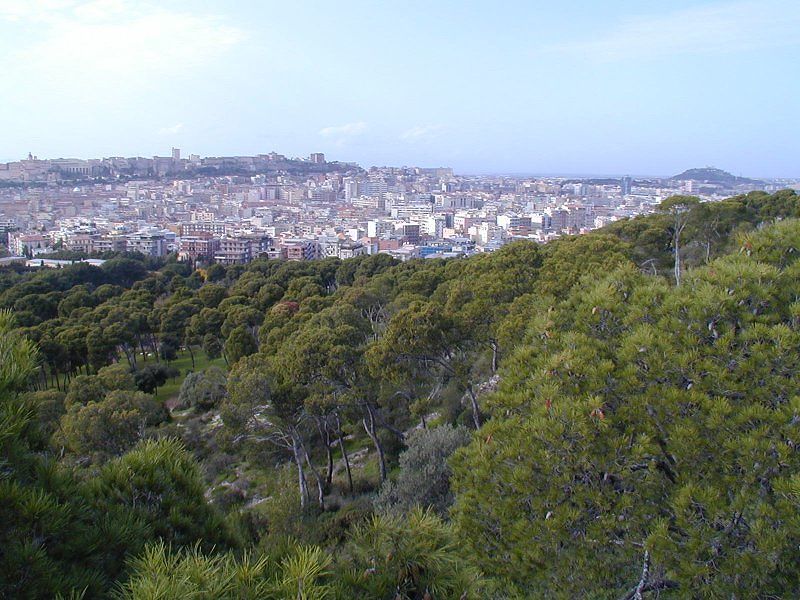 Monte Urpinu, parco avventura al Belvedere: la gara per la gestione è un flop