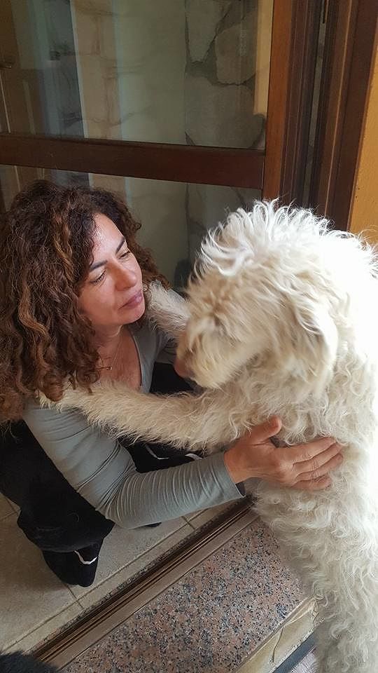 Bianca, un dolcissimo pastore fonnese, è scappato ieri notte a Flumini a causa dei botti