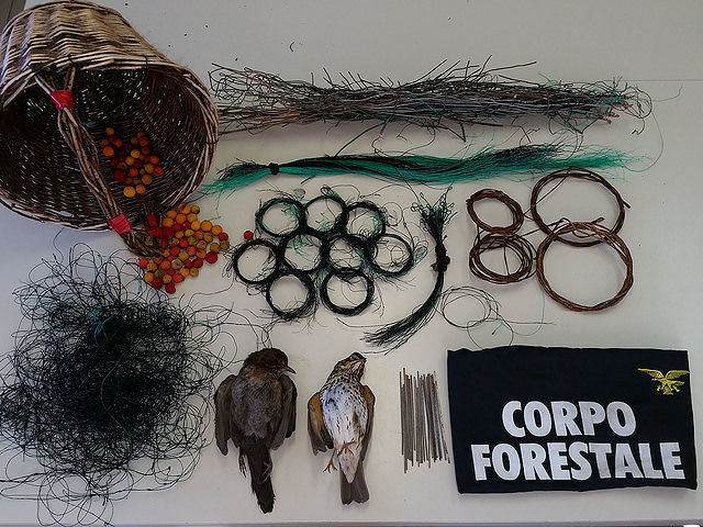 Cagliari e Capoterra, denunciati tre bracconieri: mercato proibito degli uccelli