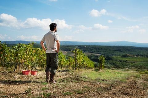 Agricoltura in Sardegna, “migliaia di giovani illusi senza un euro di finanziamento”