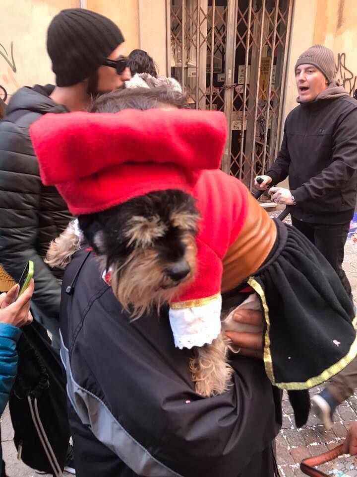 Magica Sartiglia in Sardegna, anche i quattrozampe vestiti a maschera