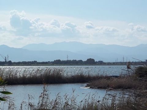 S. Gilla, tesoro in cassaforte: “Politica di Puddu produce spreco e disoccupazione”