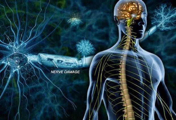 Cagliari, gli esperti delle malattie neuromuscolari incontrano i pazienti