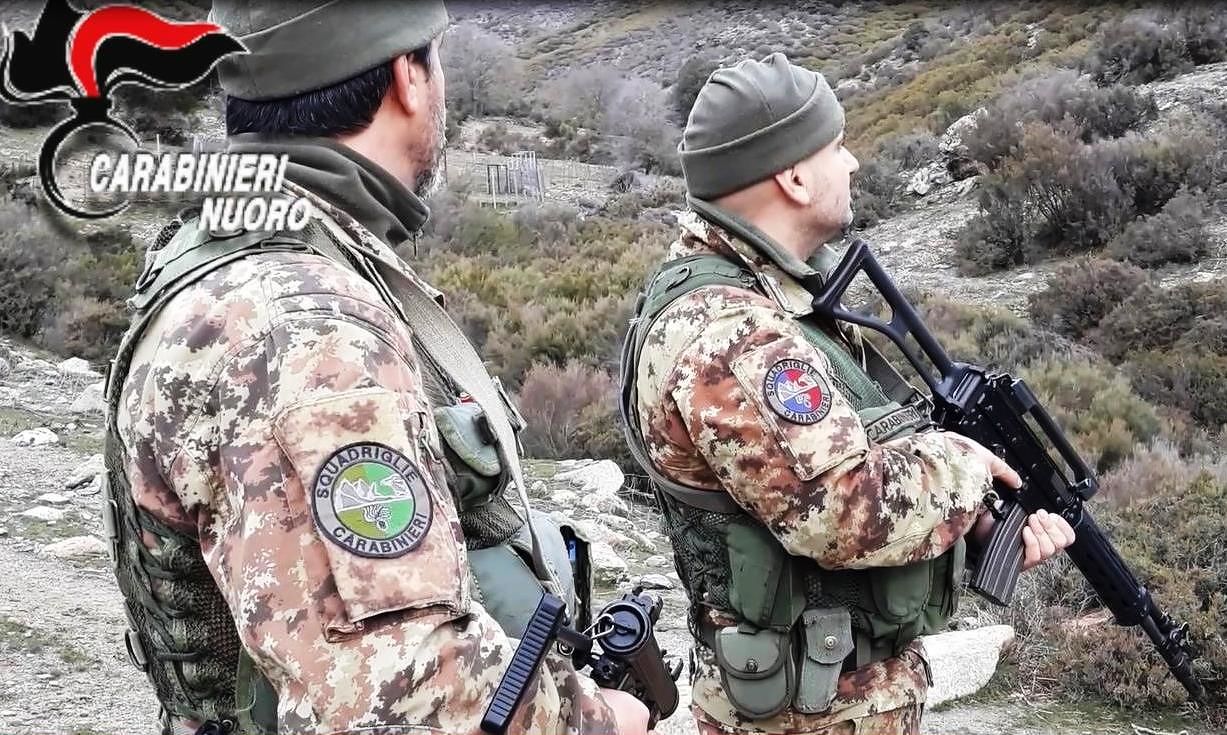 Sardegna, ritrovati pali e rete metallica rubati dai ladri nel 2014: allevatore denunciato