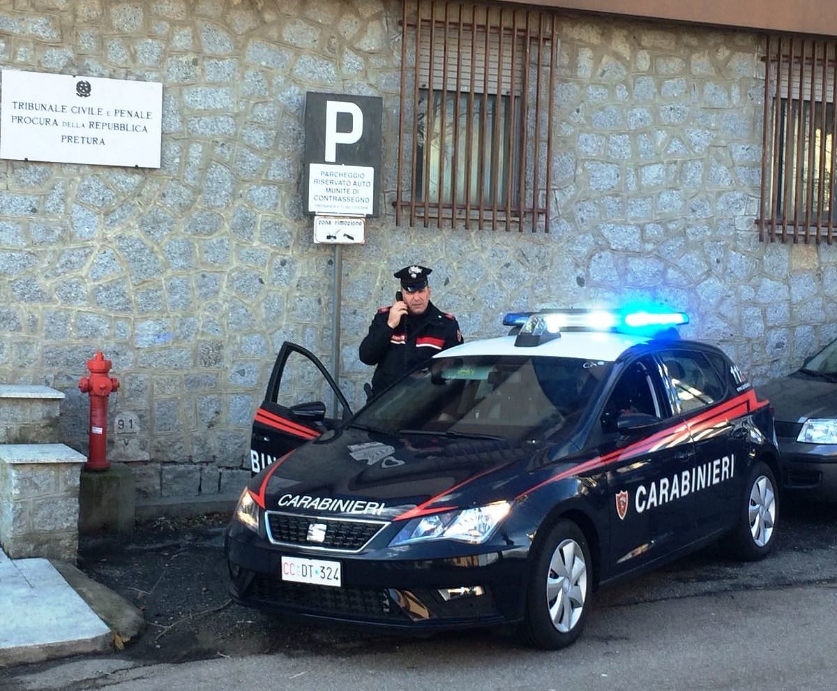 Sardegna, va nel suo terreno a trovare i suoi 5 cani e li trova morti: tutti avvelenati