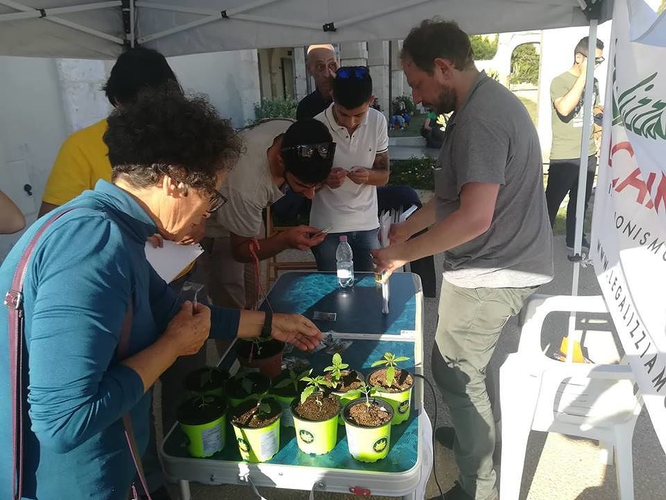 Cagliari, ragazzi e mamme in fila per le piantine di cannabis a Sant’Elia: “Legalizzatela!”