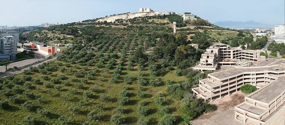 Cagliari, in arrivo 11 ville di lusso sul colle di San Michele. Comune: “Salveremo l’uliveto”