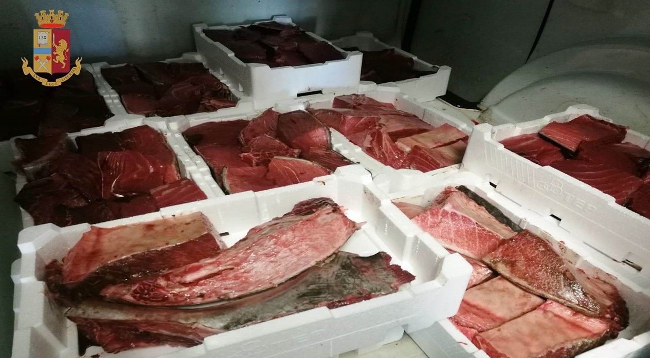 Nasconde 125 Kg di tonno rosso nel furgone: 55enne nei guai a Carbonia