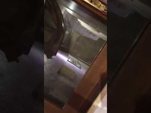 Blatte da record a Quartu: “Noi, barricati in casa a Costa degli Angeli” (VIDEO)