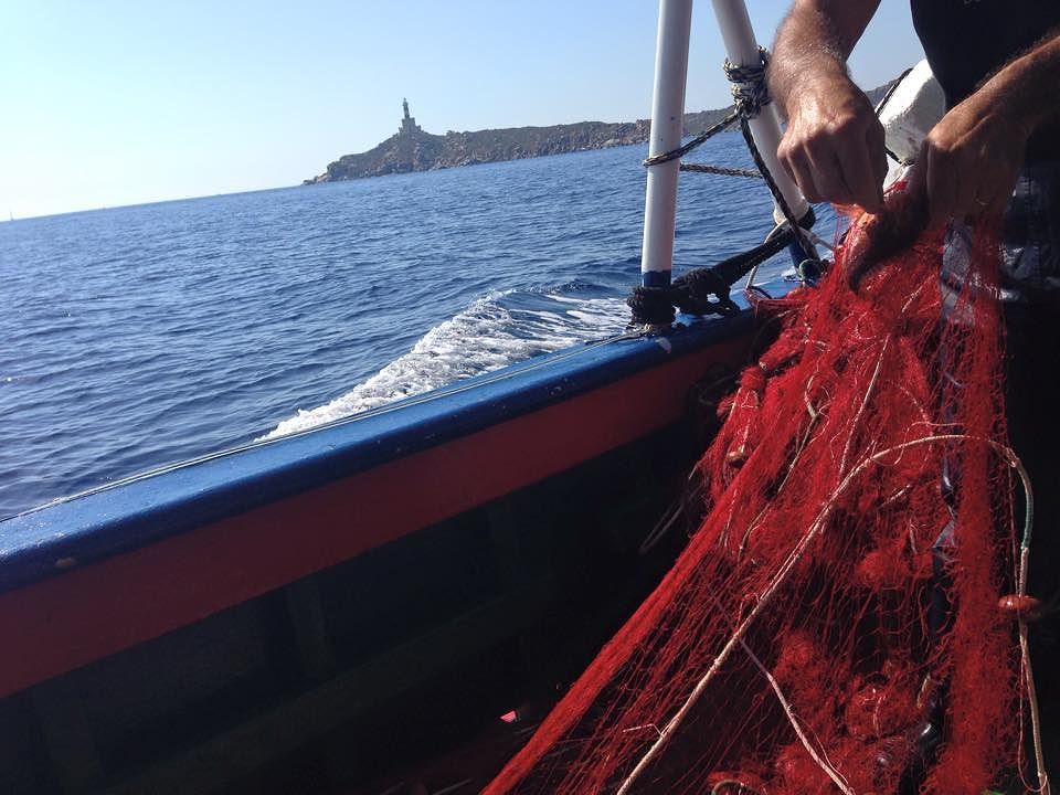 Pesca più sostenibile nell’Area Marina Protetta: al via il censimento della fauna ittica