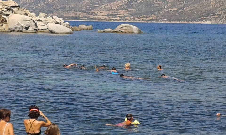 Villasimius, alla scoperta del mondo marino: 13 eventi gratuiti con la guida degli esperti