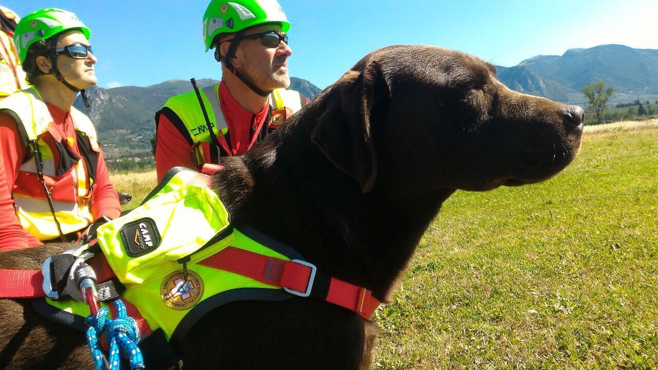 Pensionato scomparso a Carbonia, ancora nessuna traccia