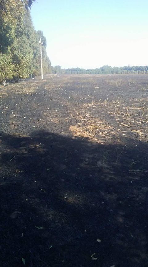 Massima allerta incendi nel Cagliaritano, bollettino della Protezione Civile: state attenti