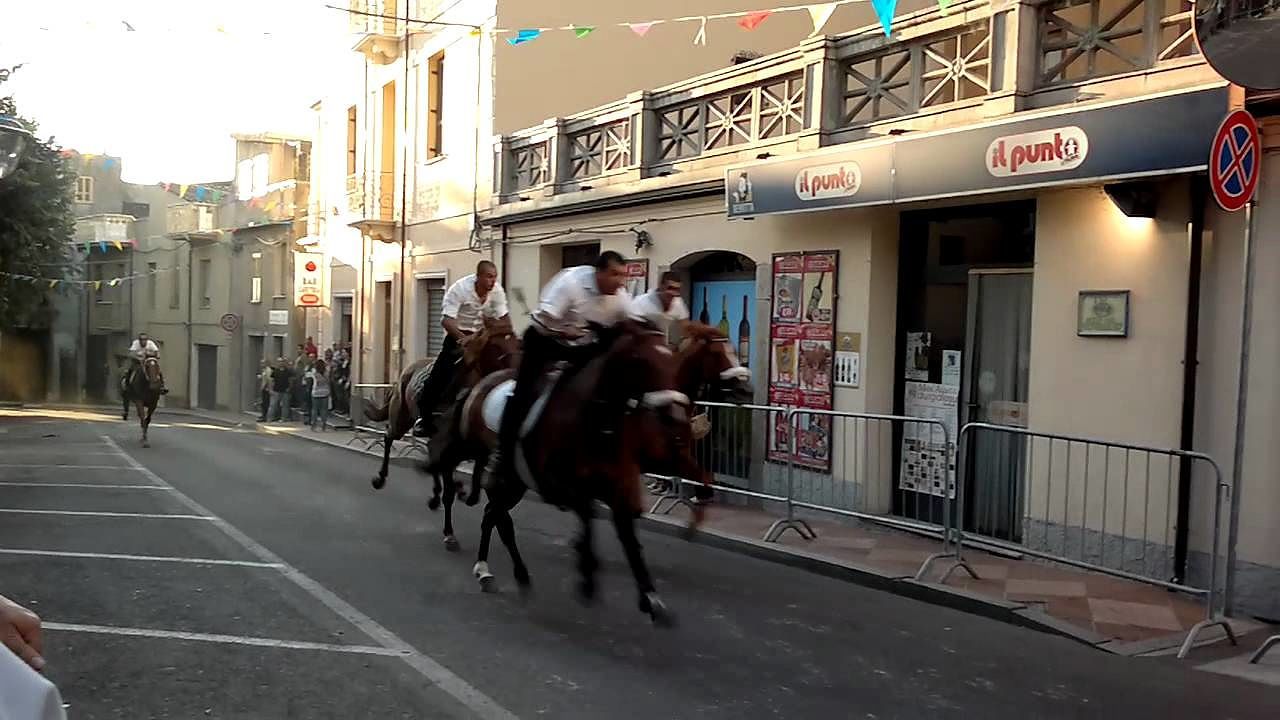“Asinelli e maiali massacrati per il Ferragosto a Dorgali, sardi arretrati”