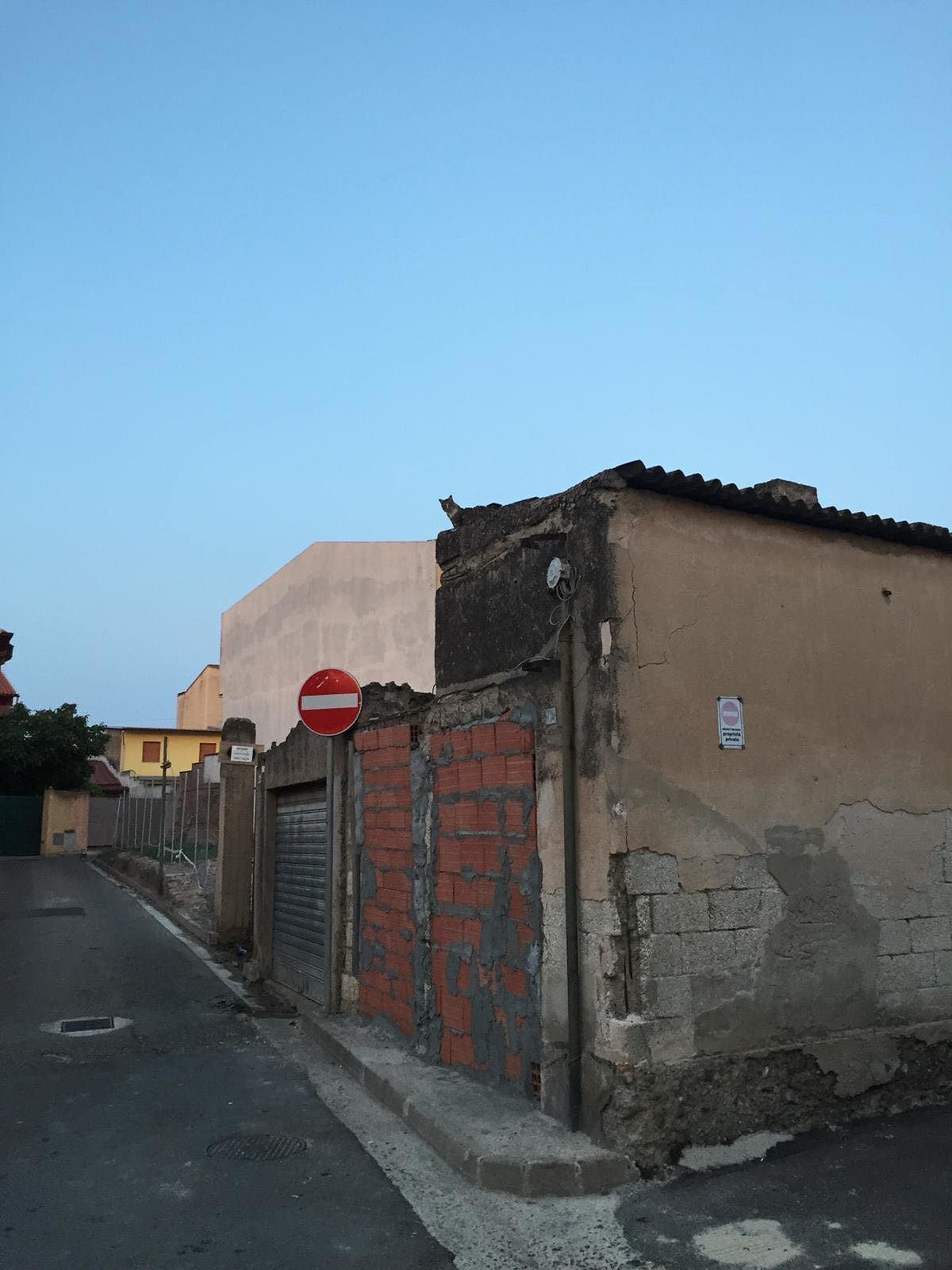 “Gattini murati vivi dentro un rudere ad Assemini, rischiano di morire nell’indifferenza di tutti”