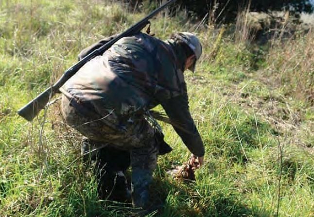 Sardegna, il Tar beffa i cacciatori: “Stop alla caccia sulla nobile stanziale”, vincono gli animalisti
