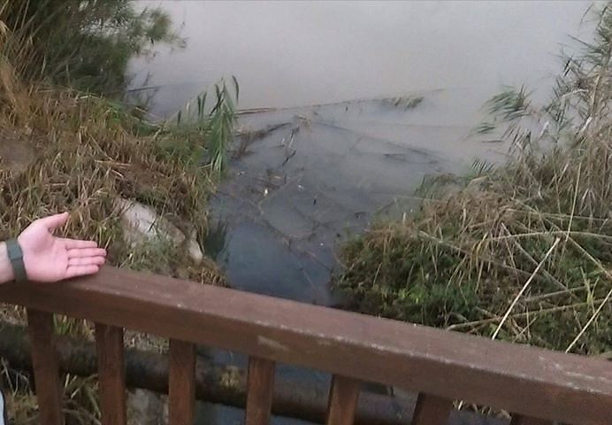 Moria di pesci a Santa Gilla: liquami sui canali segnalati da un escursionista