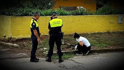 Questa foto ci racconta tante cose: il cucciolo ucciso a Uta simbolo della cattiveria umana