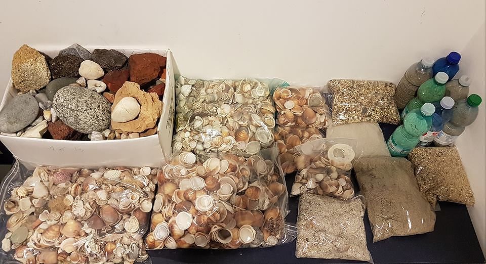 Tedeschi dalla mano lunga sulle spiagge sarde, 100 chili di conchiglie e sassi rubati in 4 giorni