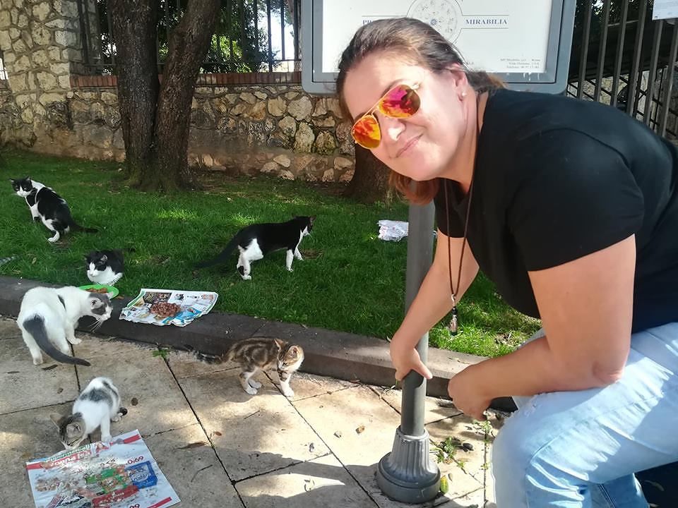 Cagliari, animalisti in rivolta: “Zedda vuole multare chi sfama i gatti randagi, vergogna”