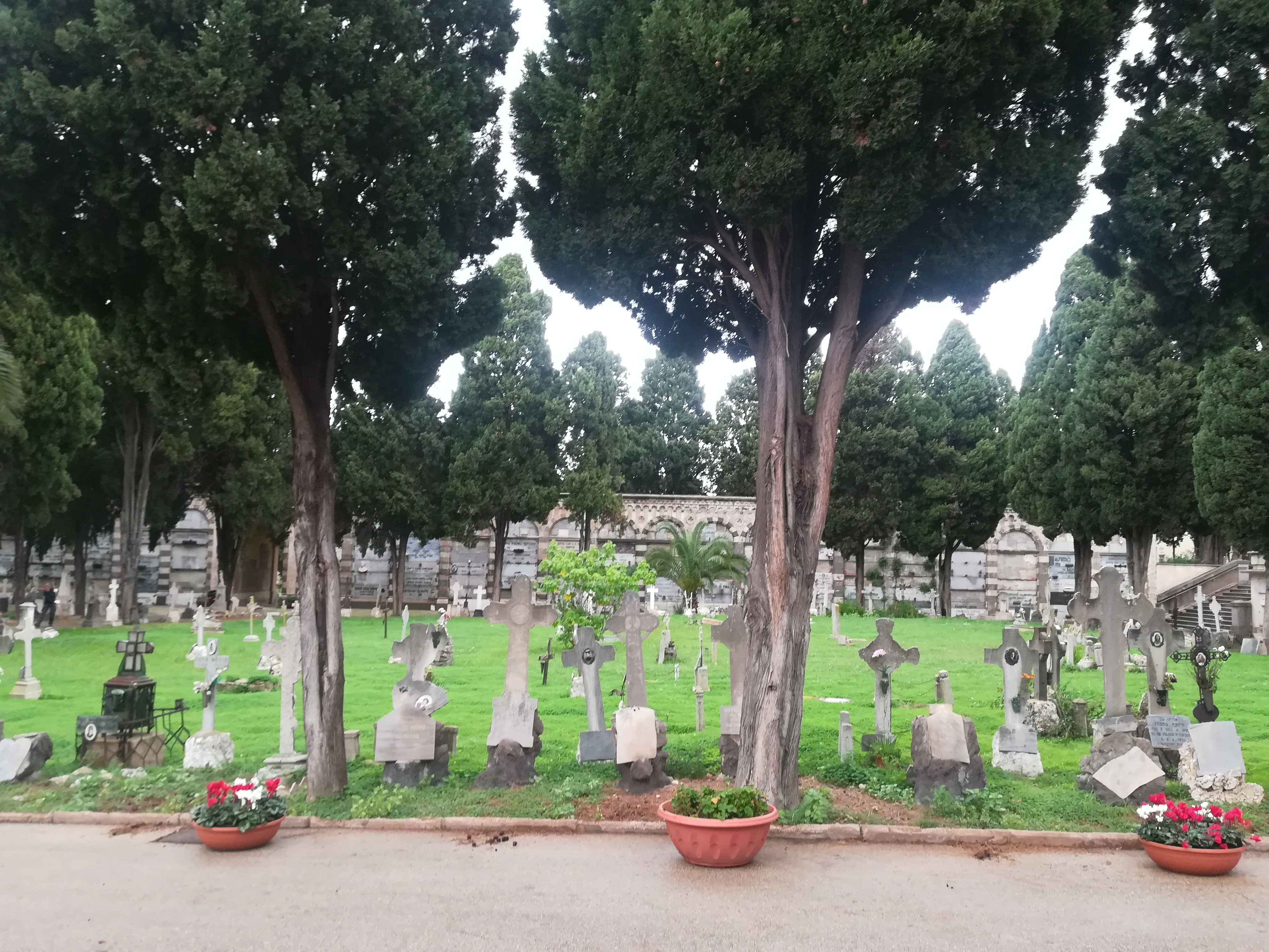 Cagliari, svolta al cimitero di Bonaria: dopo 50 anni ripartono le sepolture