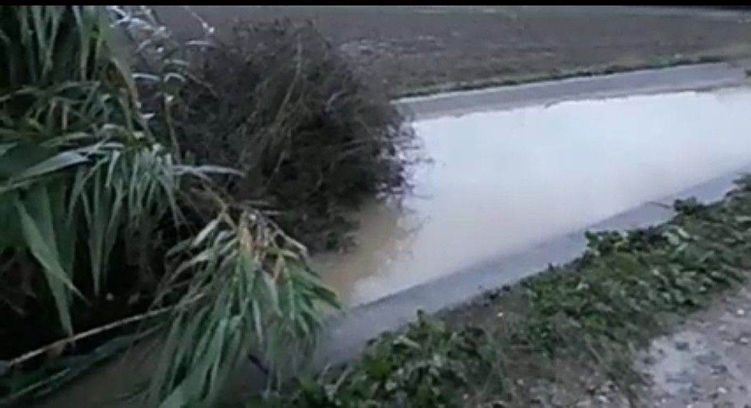 Assemini, un mese dopo l’alluvione la denuncia degli operatori agricoli: “Guardate, canali ancora nel caos”