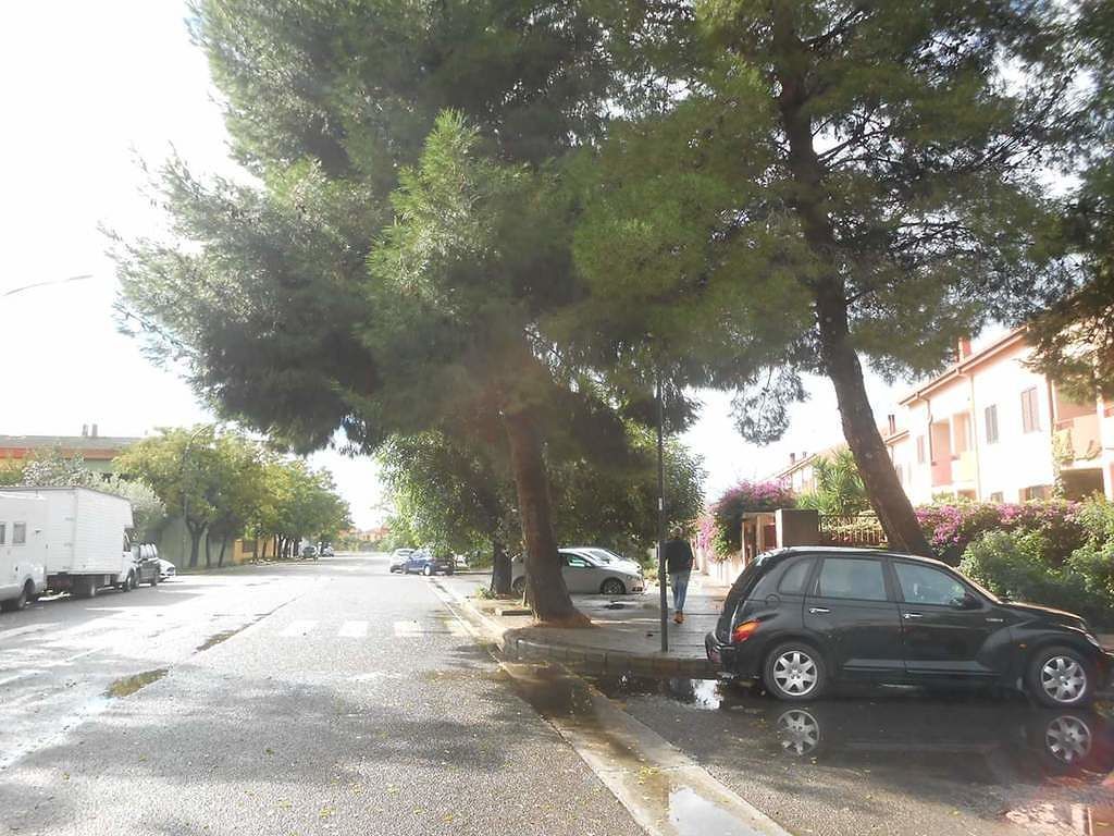 Selargius, paura in via San Marco: “I pini rischiano di crollarci addosso”