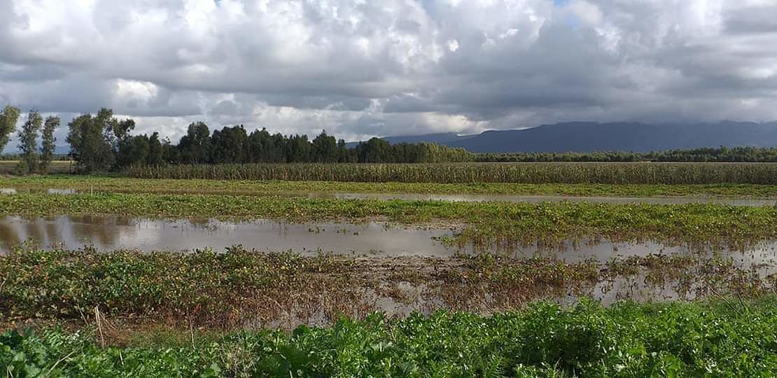 Il triste record di Arborea, paese gioiello: stato di calamità per la terza volta in un anno