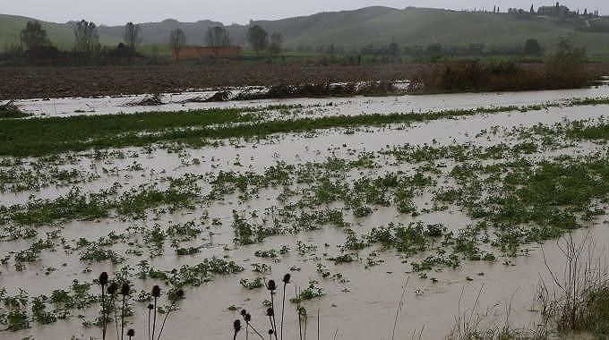 Nubifragi e danni, agricoltori del Medio Campidano in rivolta