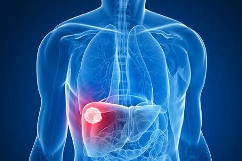 Virus dell’epatite mutato? Casi di esseri umani infetti da epatite da ratto