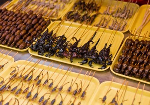 Rivoluzione nel piatto degli italiani, 4 su 10 sarebbero disposti a mangiare insetti