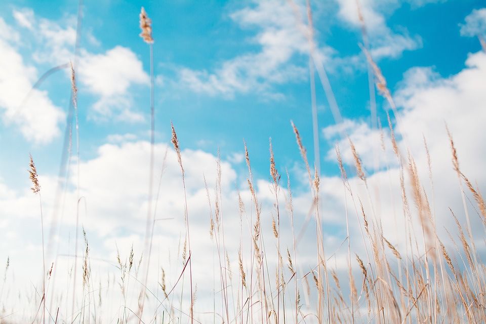 Nuvole e vento sabato, gran sole domenica: primo weekend di primavera “pazzo” sulla Sardegna