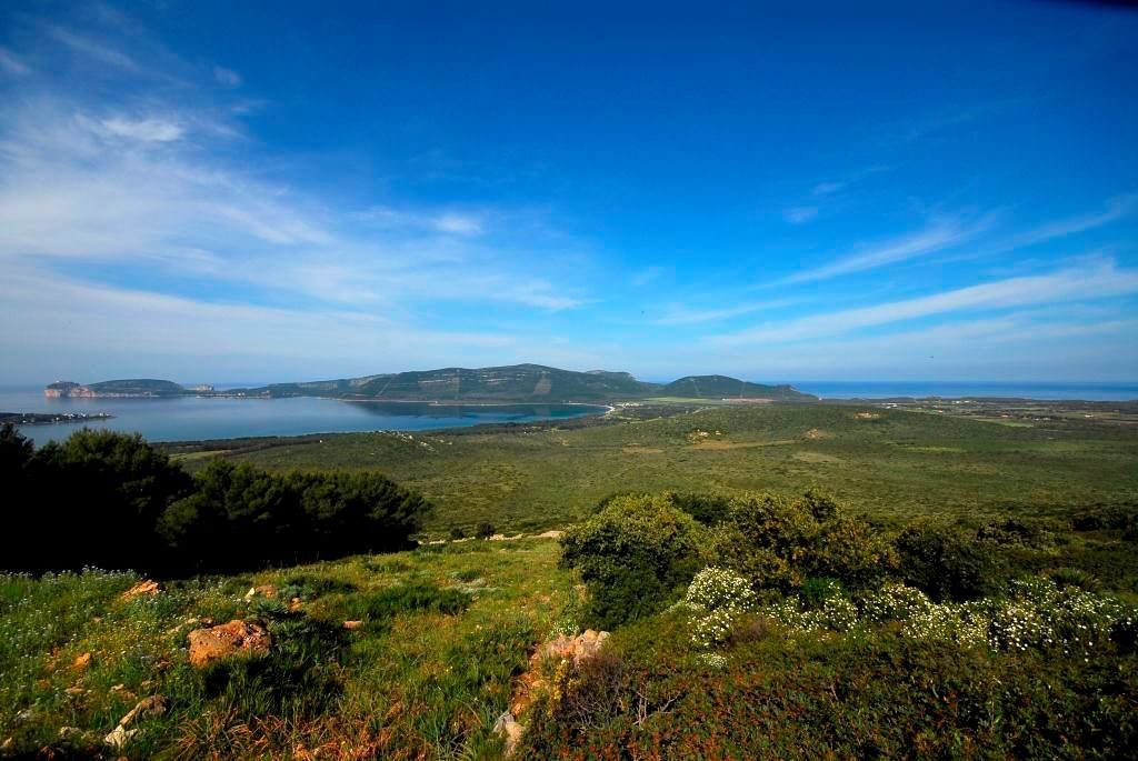 “Porto Conte, un ambiente unico e speciale. Cinquemila ettari da vivere e raccontare, in questo angolo di paradiso tra terra e mare”