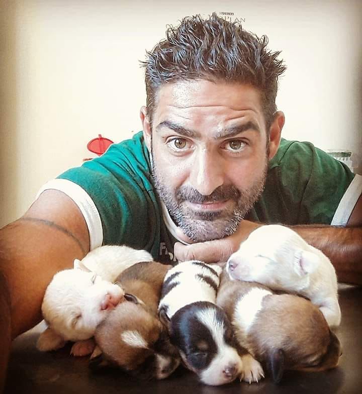 Cosmo, il gatto di otto mesi ucciso in Sardegna, parla il veterinario: “Non dimenticherò mai le lacrime della padrona”