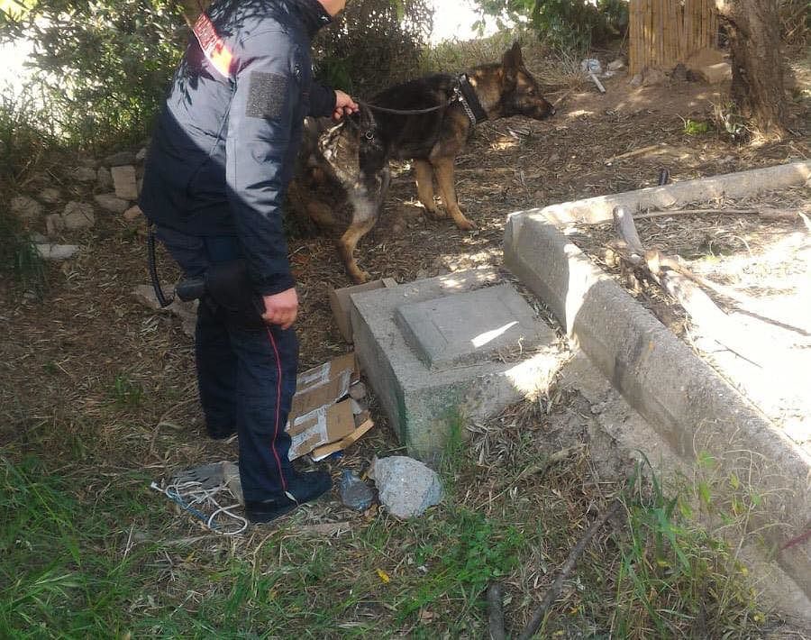 Coltivazione e detenzione di sostanze stupefacenti: 5 arresti a Villacidro