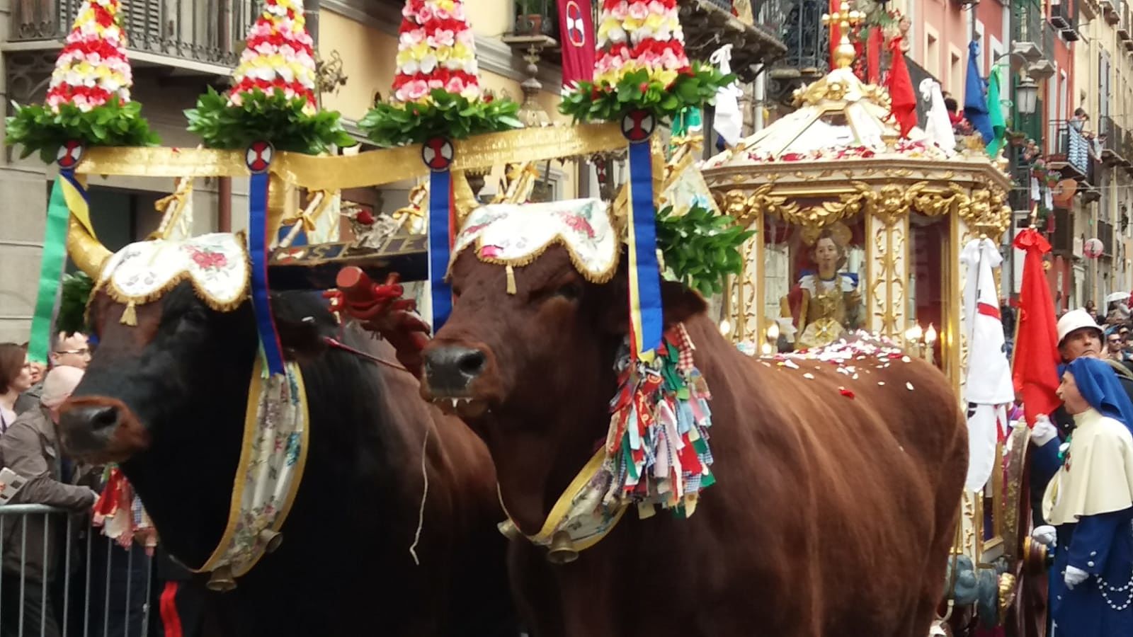 Pioggia di petali al passaggio di Efisio, il santo in viaggio verso la “ramadura” di via Roma