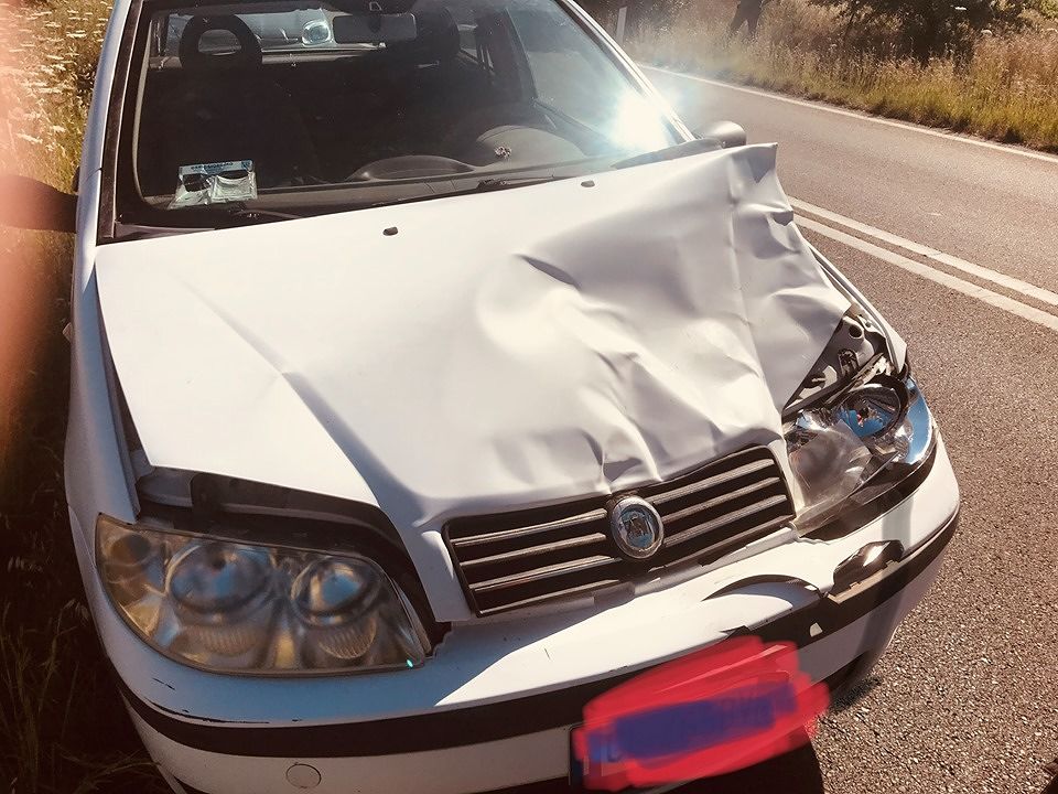 Sos sulla Sulcitana: “Secondo incidente in tre giorni in pieno giorno causato da un cervo”