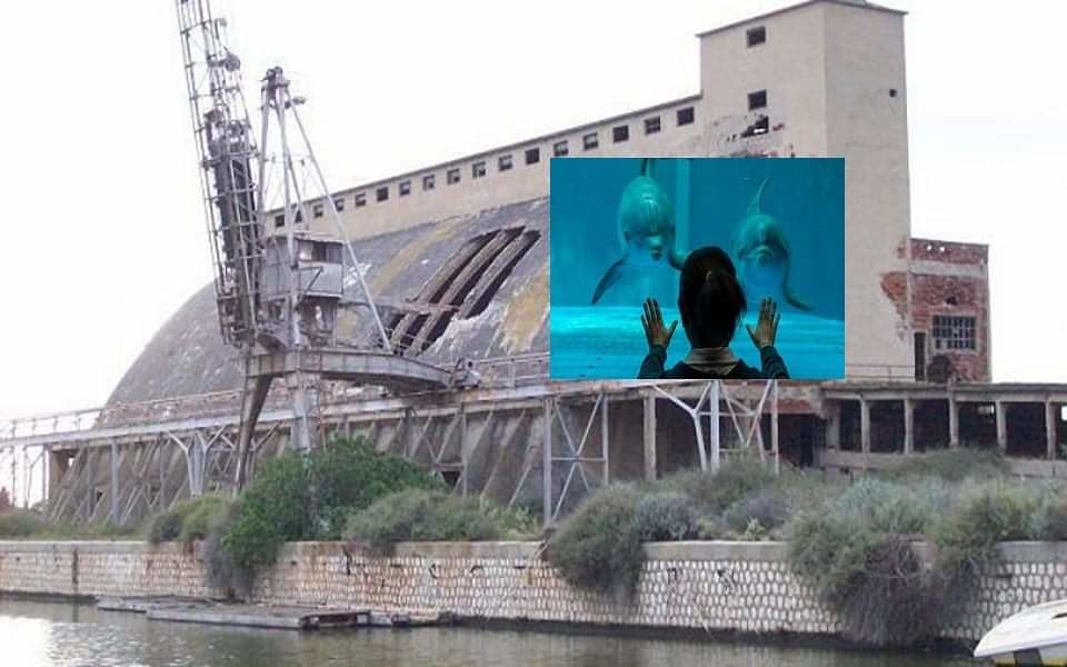 Cagliari, il progetto: “Maxi acquario a tre piani al padiglione Nervi, arriveranno turisti tutto l’anno” 