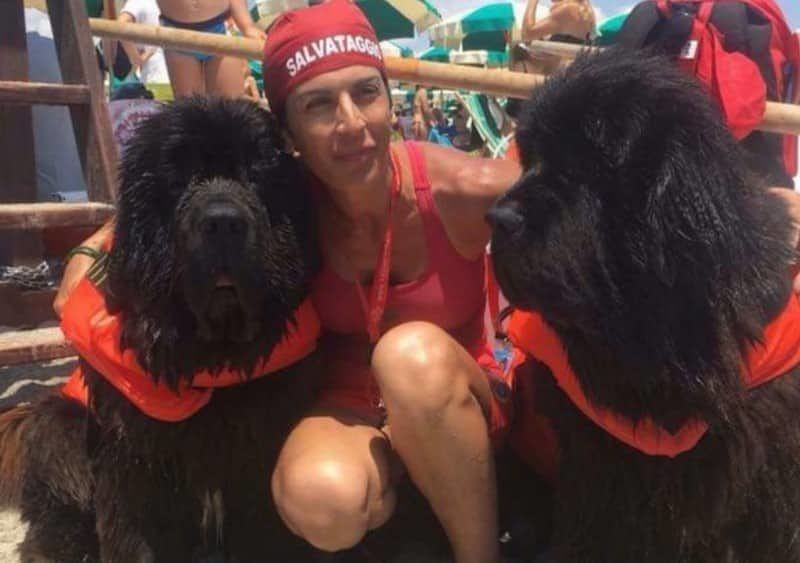 Silvia, bagnina di Quartu: “I cani sporcano le spiagge? No, mica buttano sigarette o assorbenti”