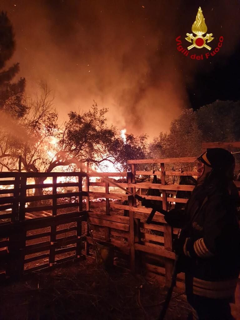 Vasto incendio nella notte in un ovile a Dolianova: i vigili salvano tutti gli animali
