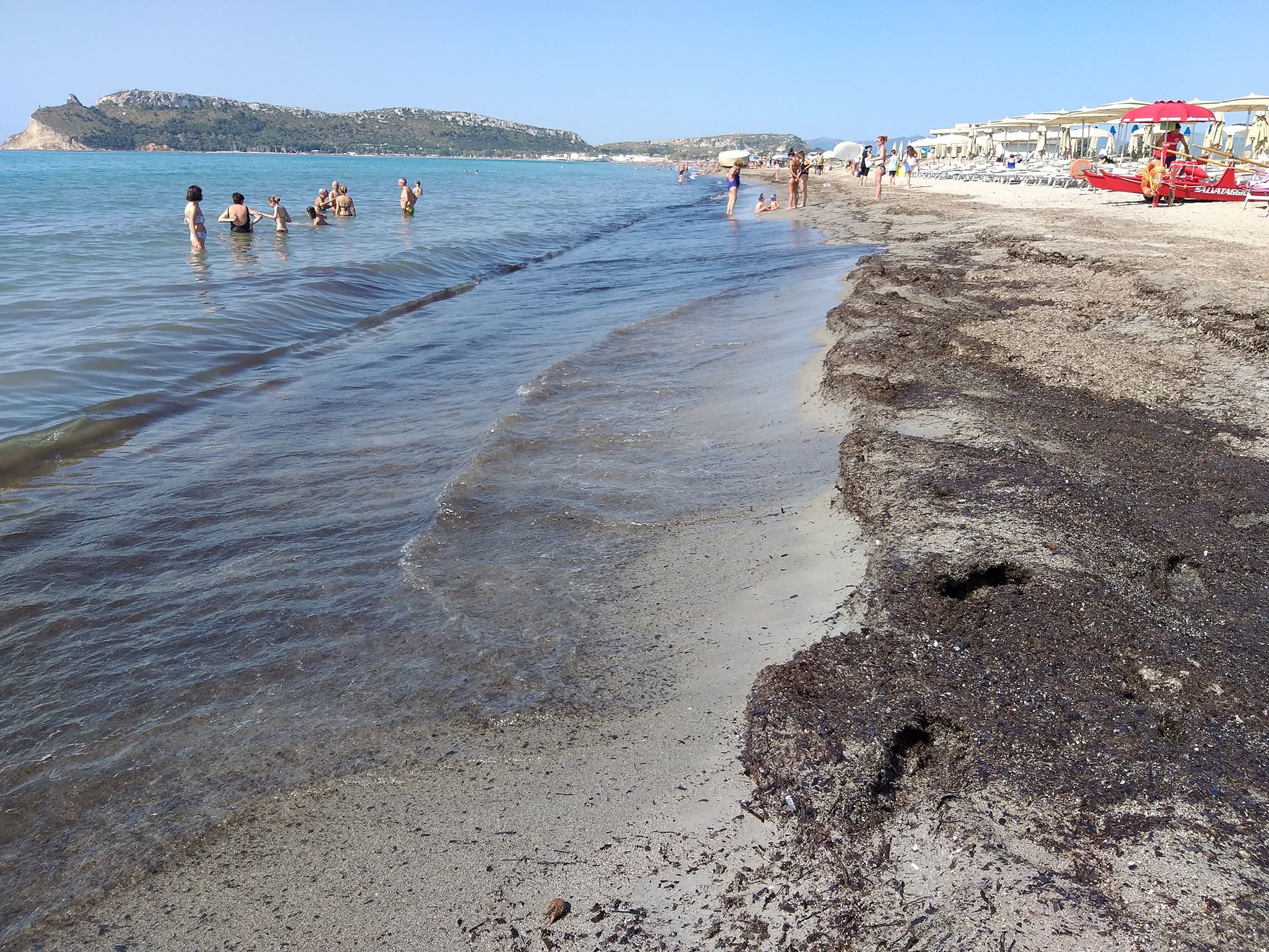 Il nostro caro Poetto invaso dalle posidionie: ecco le soluzioni possibili per liberare la spiaggia