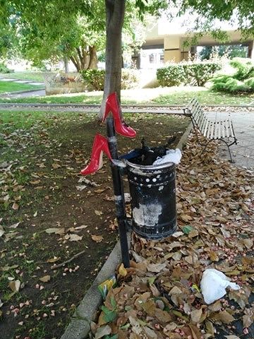 “Cagliari, l’aliga diventa arte a Genneruxi, giuro ero commossa: scarpe rosse col tacco sui cestini”
