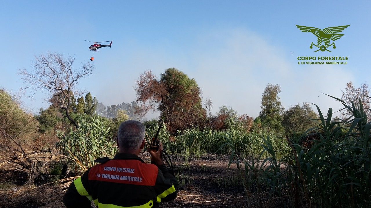 Fiamme a Montresta, elicottero dei forestali in azione