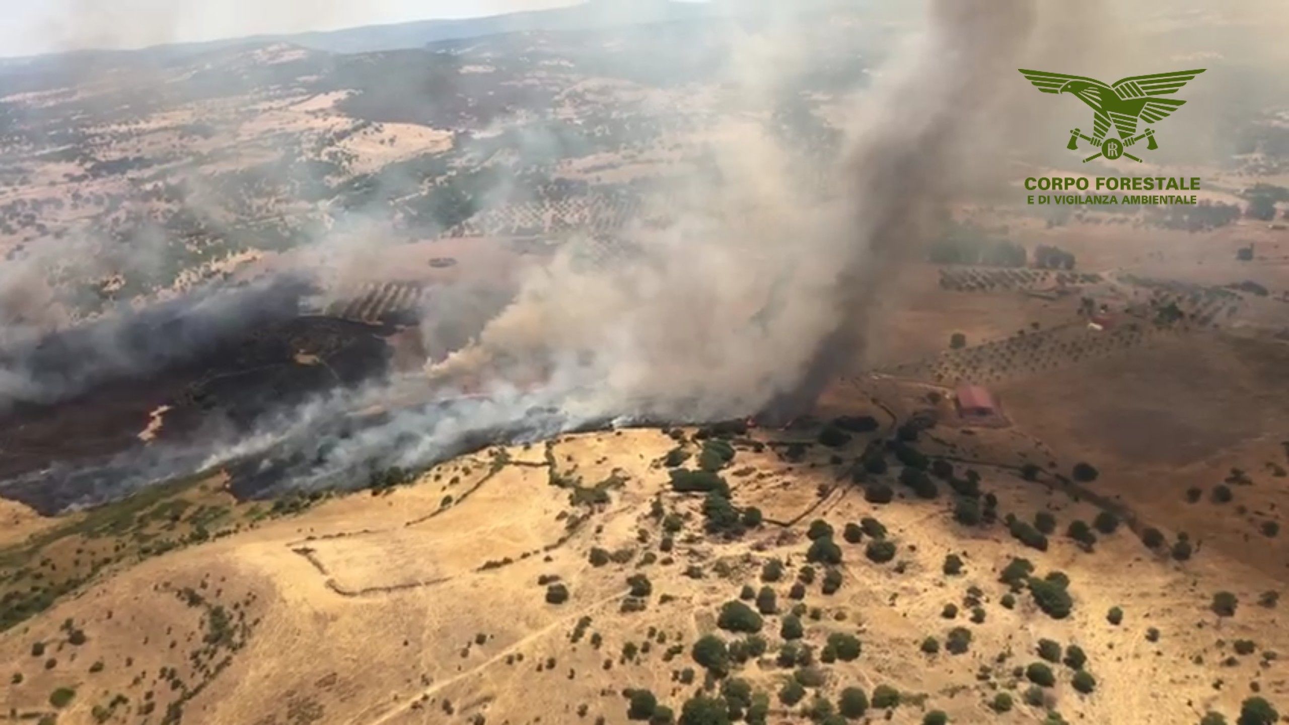 I piromani colpiscono ancora la Sardegna, le immagini choc dell’incendio di Bonorva