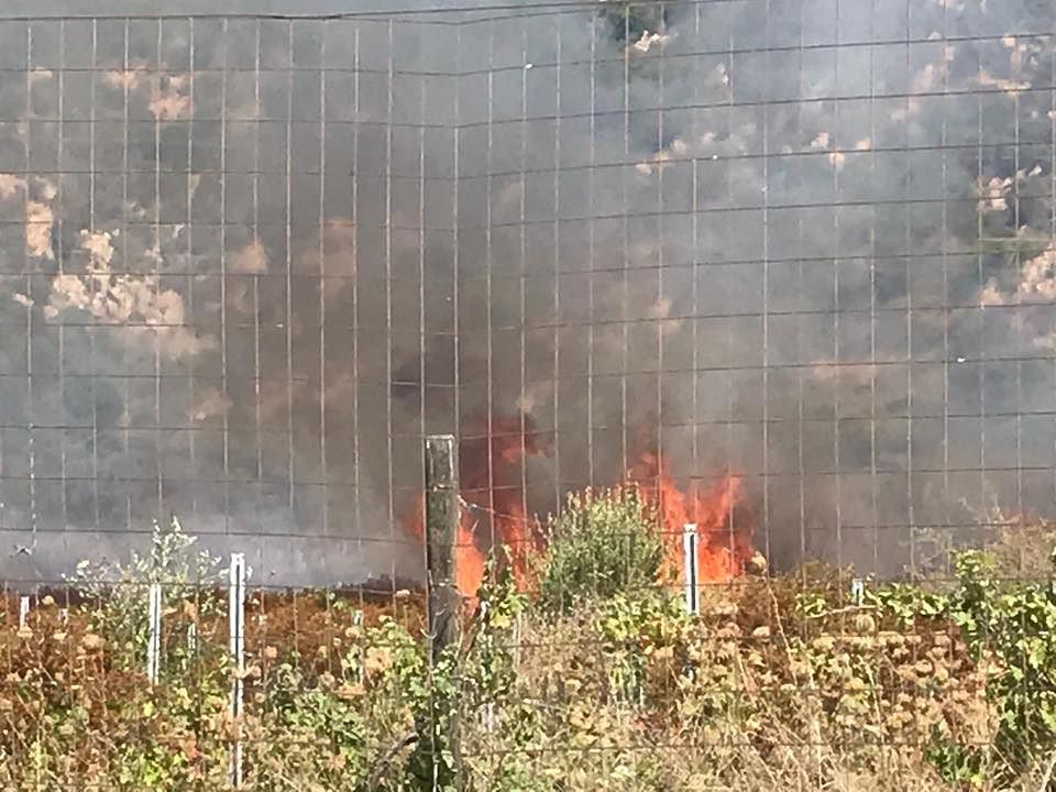 Cristina Murru, il racconto choc dall’incendio al Villaggio delle Mimose: “Travolti dalla nube di fumo rosso, un incubo”